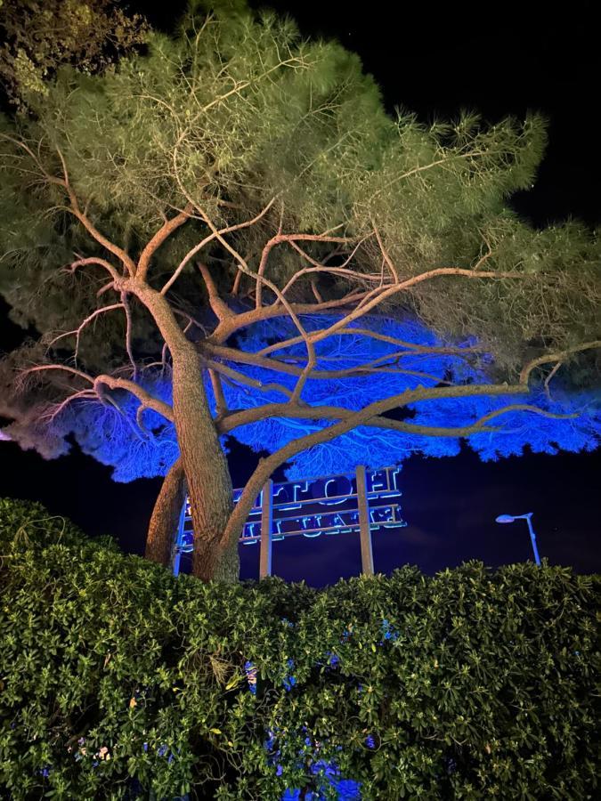 Hotel Beau Rivage เลอลาวองดูว์ ภายนอก รูปภาพ